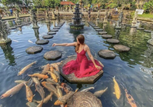 Read more about the article Discover the Enchanting Beauty of Tirta Gangga Tour!
