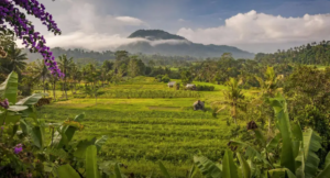 Read more about the article Sidemen Valley: Where Village Life Is Shaped by Land and Labor